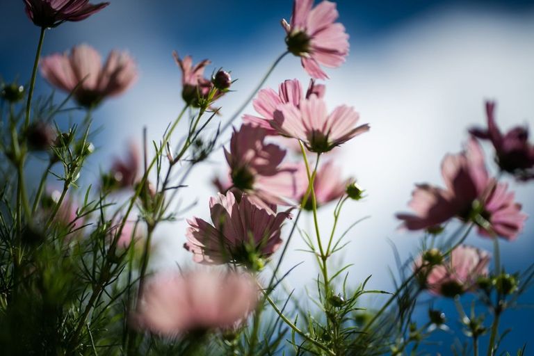 Photo of property in 58 Ames Street, Paekakariki, 5034