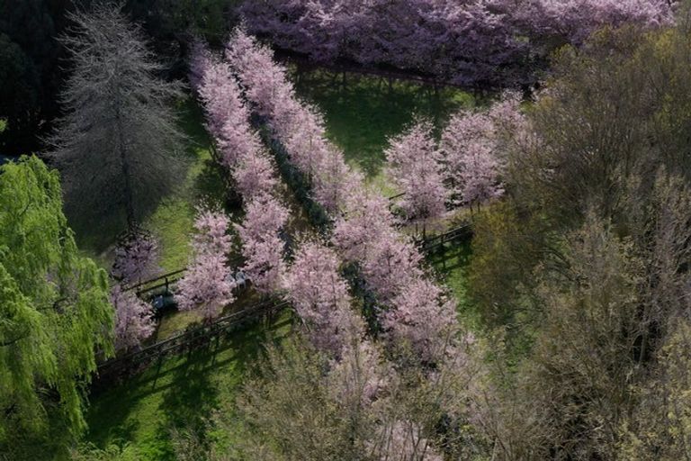 Photo of property in 125 Matangi Road, Matangi, Hamilton, 3284