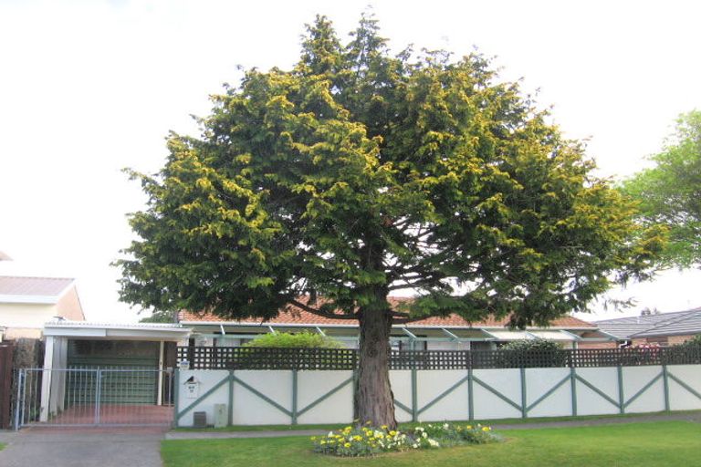 Photo of property in 52a Elizabeth Street, Victoria, Rotorua, 3010