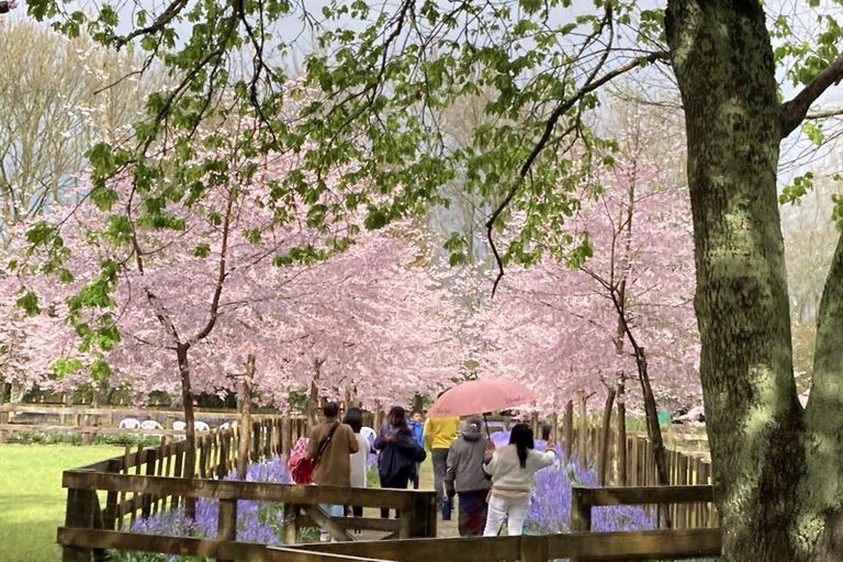 Photo of property in 125 Matangi Road, Matangi, Hamilton, 3284