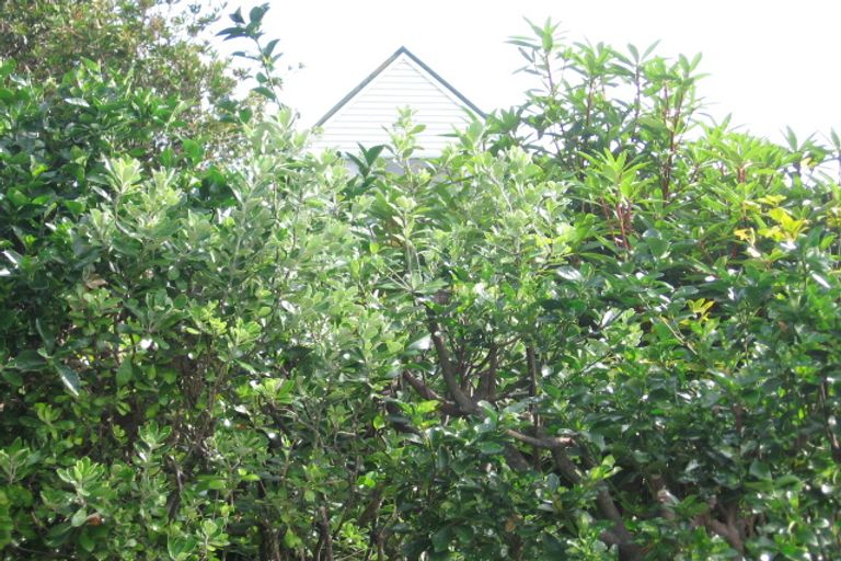 Photo of property in 66 Beacon Hill Road, Strathmore Park, Wellington, 6022