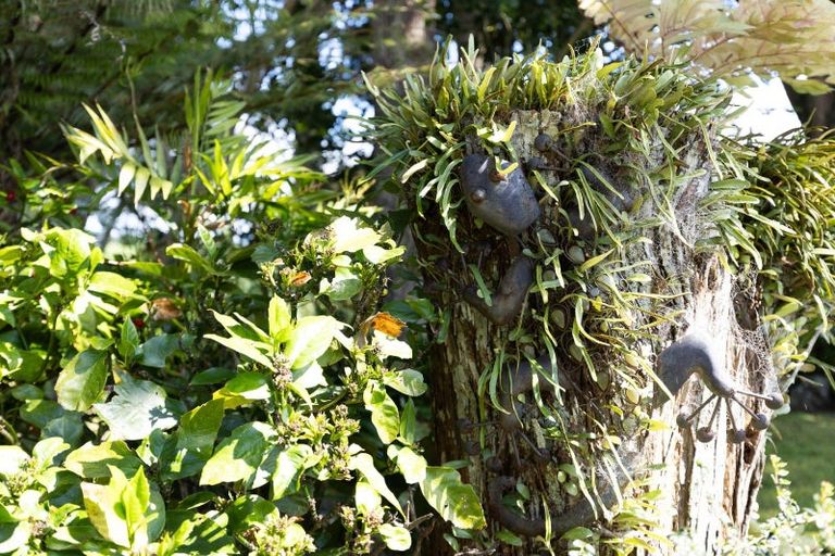 Photo of property in 18 Pataua Road North, Whareora, Whangarei, 0175