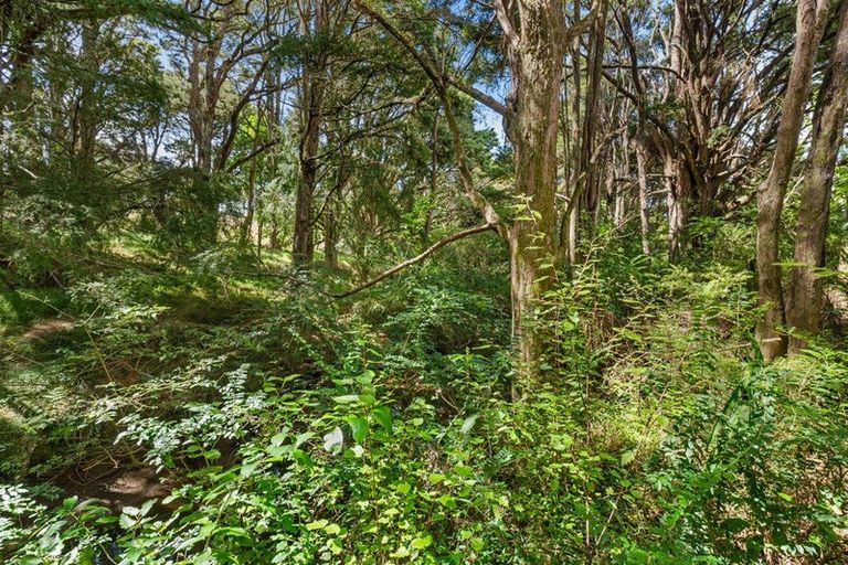Photo of property in 821 Whangaripo Valley Road, Whangaripo, Wellsford, 0972