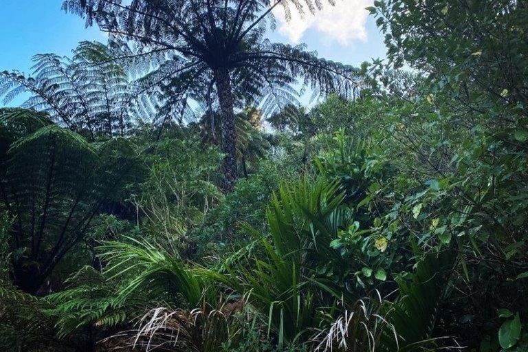 Photo of property in 1317 Abel Tasman Drive, Tata Beach, Takaka, 7183