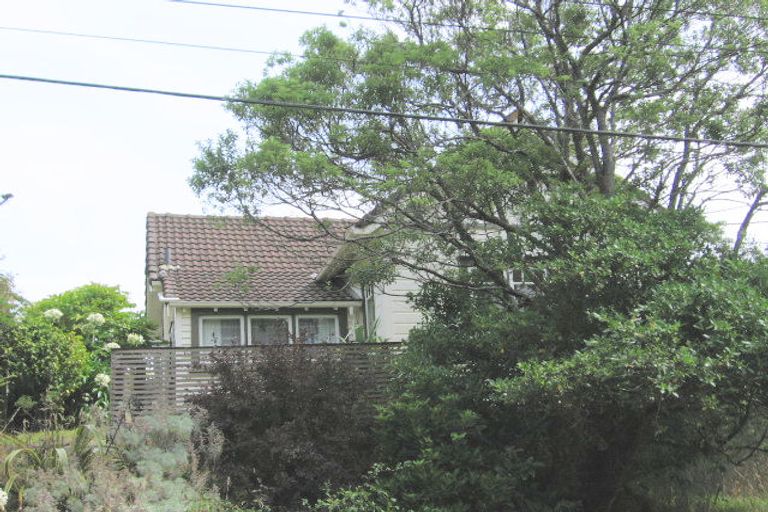 Photo of property in 24 Butt Street, Brooklyn, Wellington, 6021