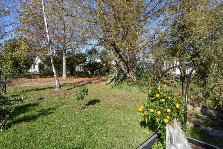 Photo of property in 55 Costley Street, Carterton, 5713