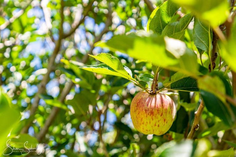 Photo of property in 2305 State Highway 12, Paparoa, 0571