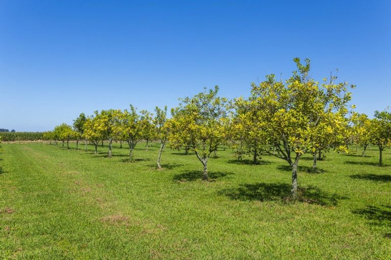 Photo of property in 136a Main Road, Makaraka, Gisborne, 4010