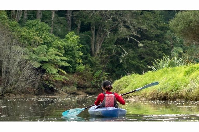 Photo of property in 84 Puhoi Road, Puhoi, Warkworth, 0994