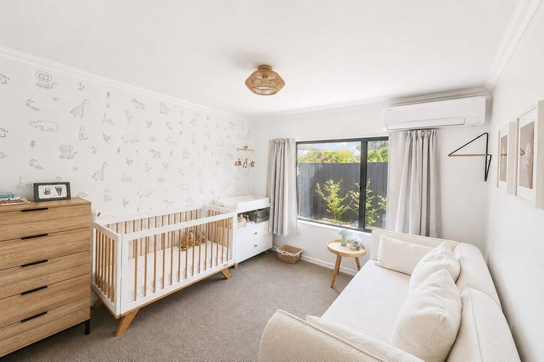 Photo of property in 17 Bayfair Drive, Mount Maunganui, 3116
