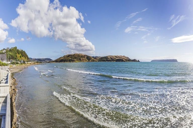 Photo of property in 52 Steyne Avenue, Plimmerton, Porirua, 5026