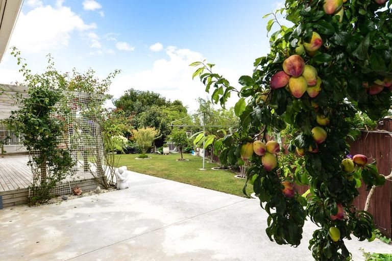 Photo of property in 27 Yvonne Street, Melville, Hamilton, 3206