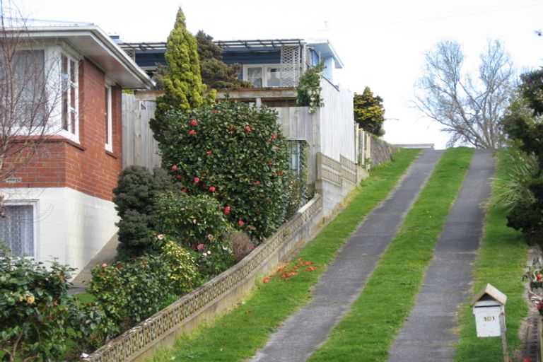 Photo of property in 101 Smithfield Road, Tawhero, Whanganui, 4501