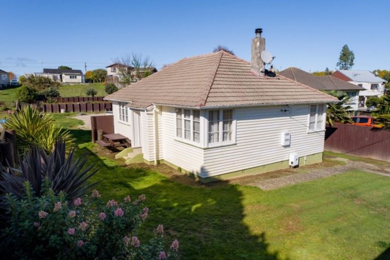 Photo of property in 9 Clothier Street, Putaruru, 3411