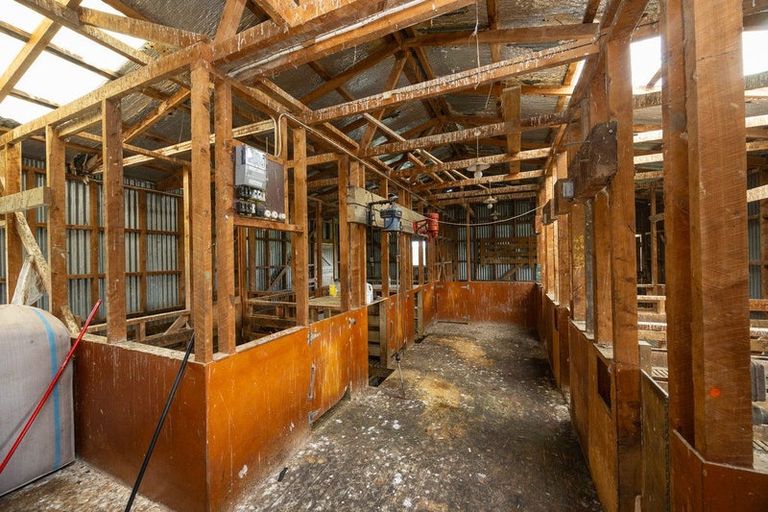 Photo of property in 234 Sandon Road, Feilding, 4779