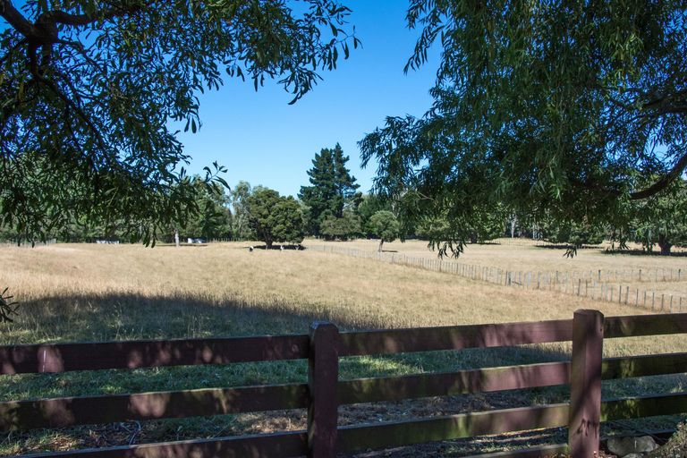 Photo of property in 317 West Bush Road, Upper Plain, Masterton, 5888