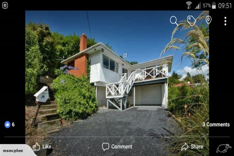 Photo of property in 50 Baldwin Street, North East Valley, Dunedin, 9010