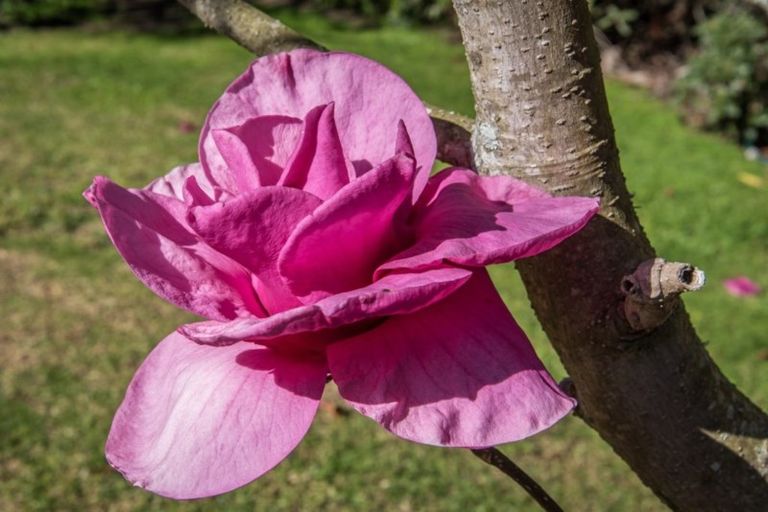 Photo of property in 109 King Arthur Drive, Otaihanga, Paraparaumu, 5036