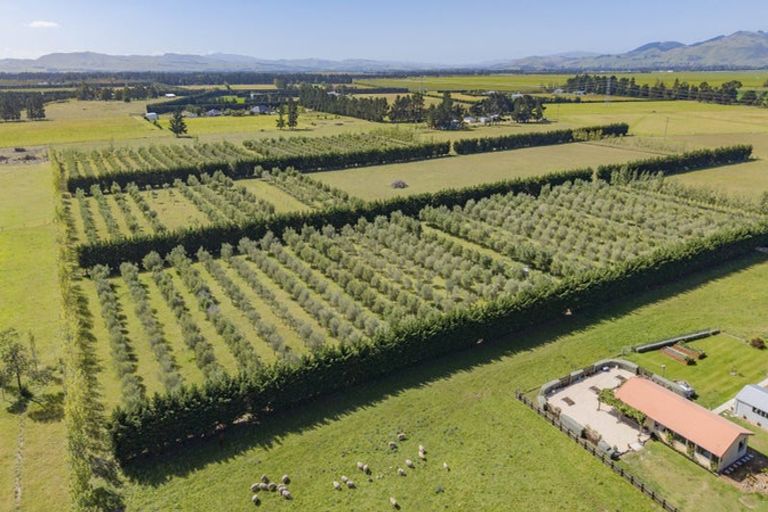 Photo of property in 206 Mount Brown Road, Glasnevin, Amberley, 7482