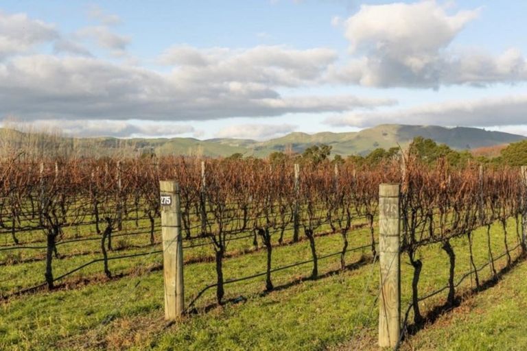 Photo of property in 20 Dakins Road, East Taratahi, Carterton, 5887