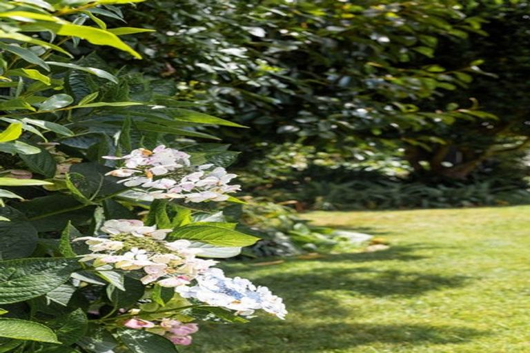 Photo of property in 3 Sheridan Crescent, Leamington, Cambridge, 3432