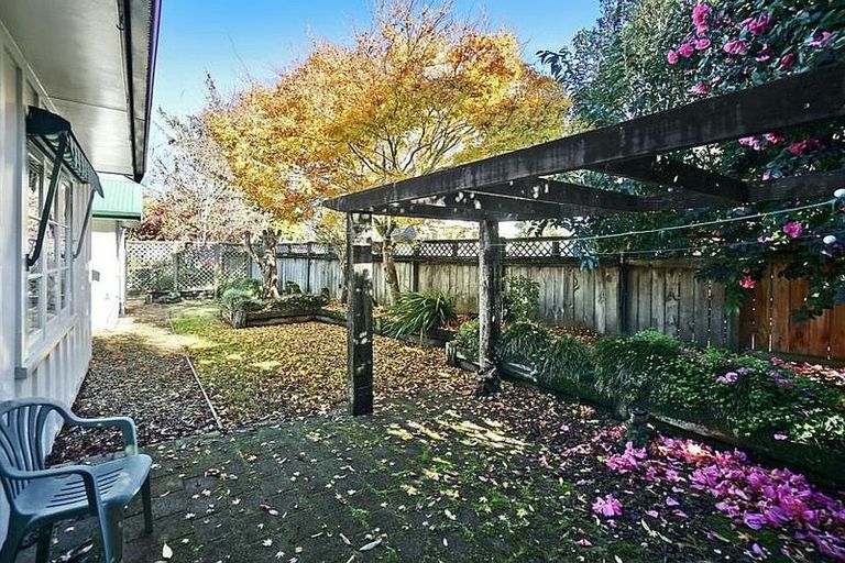 Photo of property in 6 Beatty Avenue, Te Puke, 3119