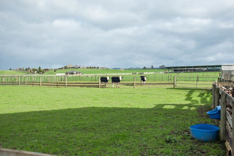 Photo of property in 15 Morgan Road, Pokuru, Te Awamutu, 3873