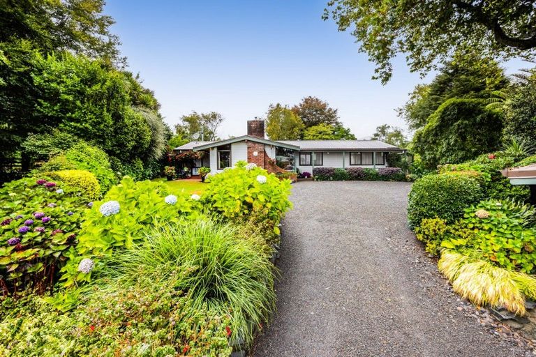 Photo of property in 87c Rata Street, Inglewood, 4330