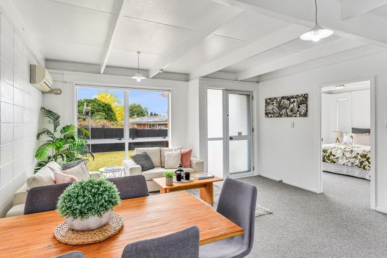 Photo of property in 172a Maeroa Road, Maeroa, Hamilton, 3200