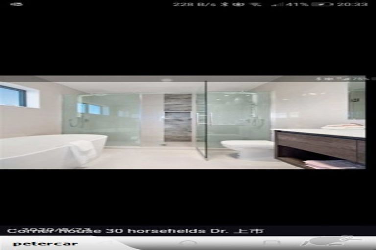 Photo of property in 45 Rashni Road, Flat Bush, Auckland, 2019