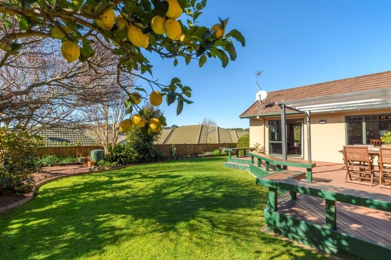 Photo of property in 14 Braeburn Place, Bethlehem, Tauranga, 3110