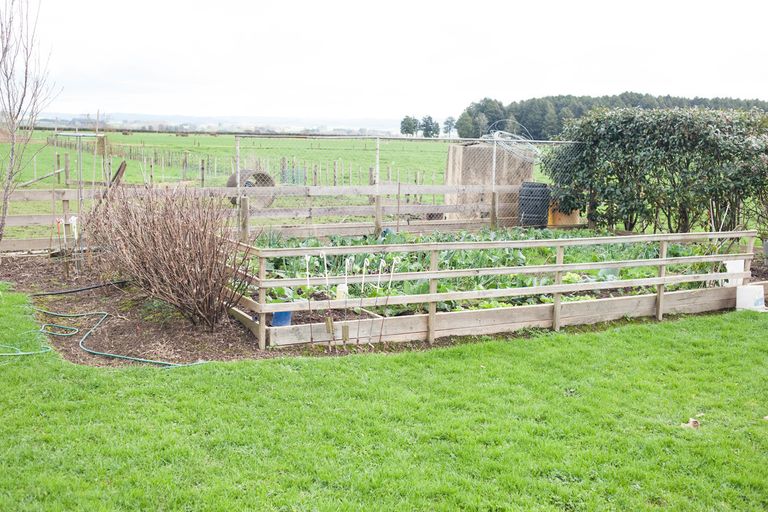 Photo of property in 15 Morgan Road, Pokuru, Te Awamutu, 3873