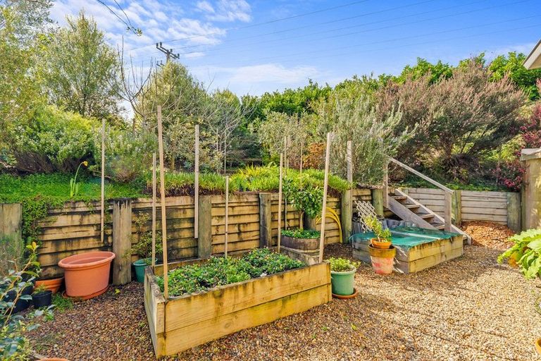 Photo of property in 19 Northwood Close, Warkworth, 0910