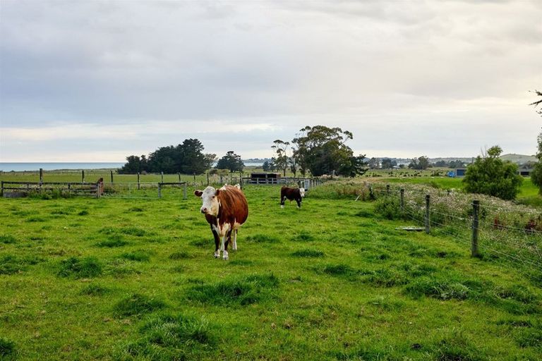 Photo of property in 61 Harnetts Road, Kaikoura Flat, Kaikoura, 7371