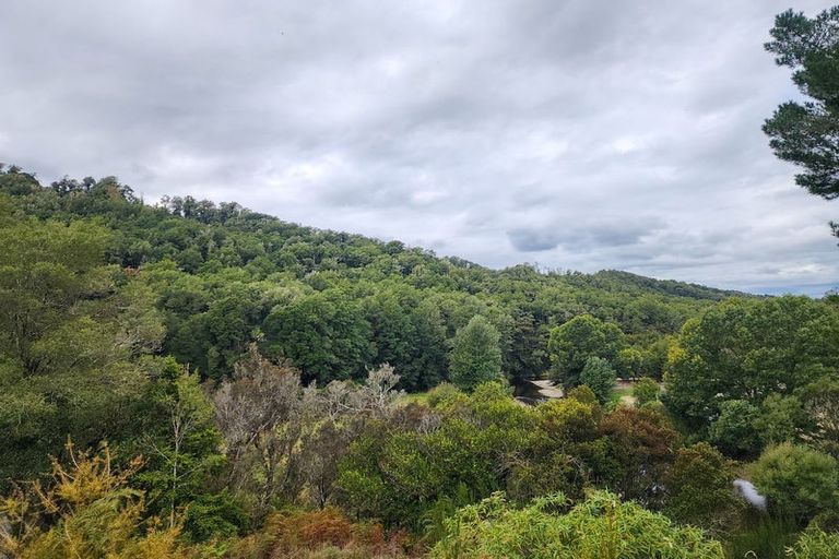 Photo of property in 600 Nelson Creek Road, Nelson Creek, Dobson, 7872