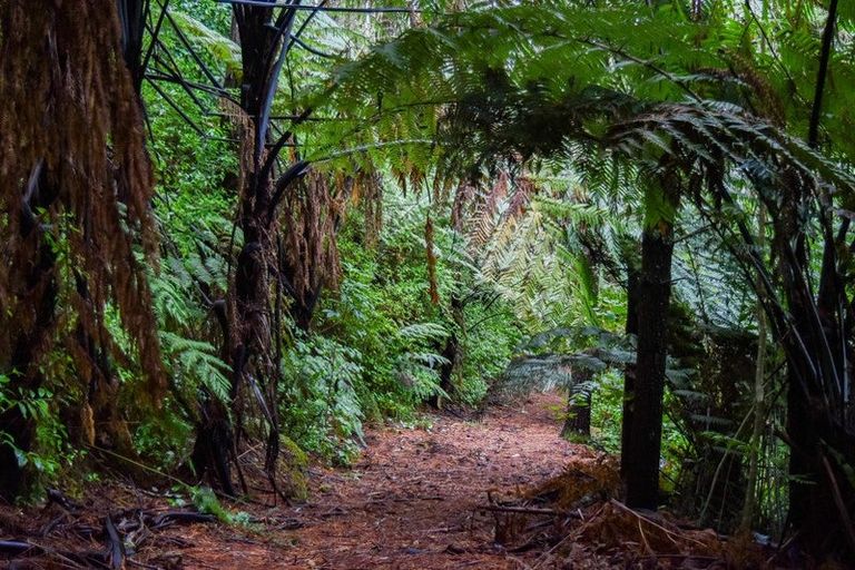 Photo of property in 14 Tupelo Place, Ohauiti, Tauranga, 3112