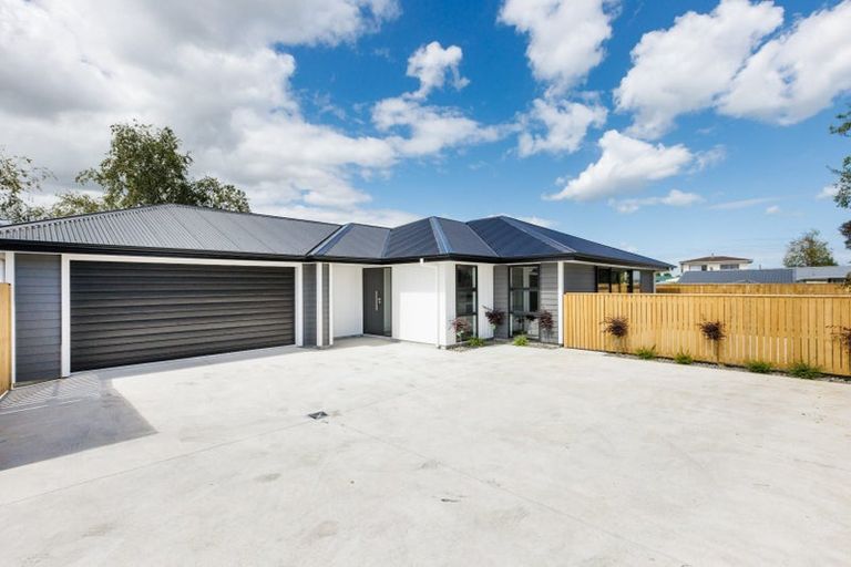 Photo of property in 38b Kingston Street, Awapuni, Palmerston North, 4412