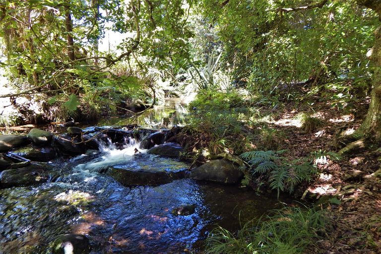 Photo of property in Blue Gum Lane, Kerikeri, 0293