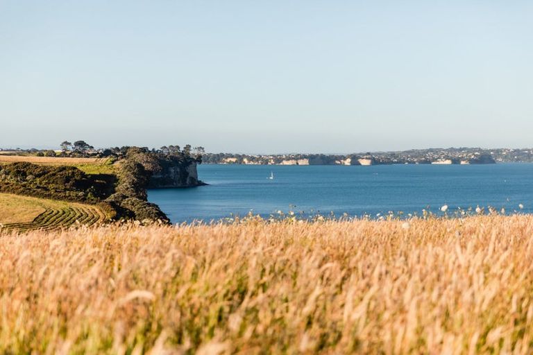 Photo of property in 206/167 Glenvar Ridge Road, Long Bay, Auckland, 0630