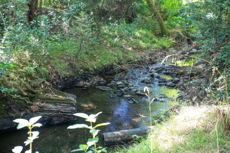 Photo of property in 431 Scotsman Valley Road, Tauwhare, Morrinsville, 3371