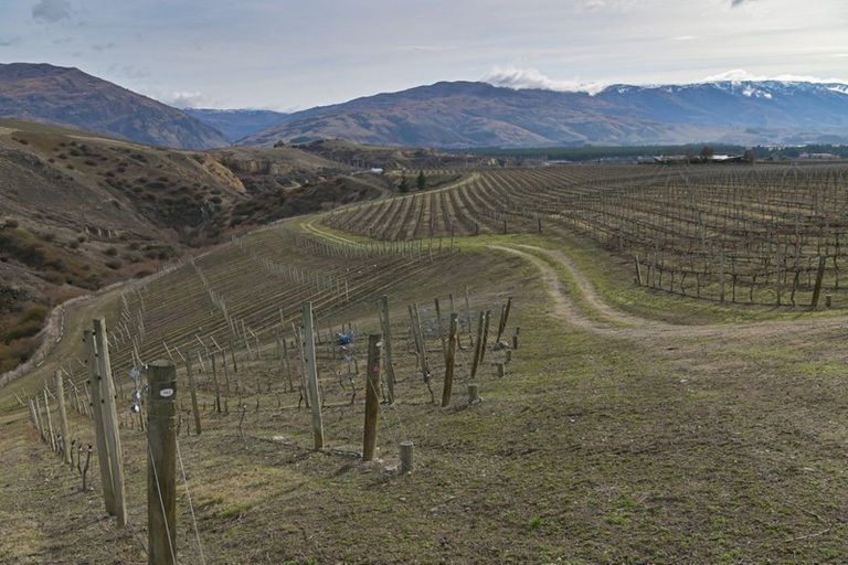 Photo of property in 1 Cairnmuir Crescent, Cromwell, 9310