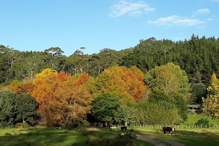 Photo of property in 660 Takou Bay Road, Kaeo, 0295