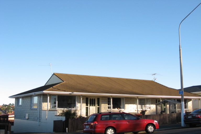 Photo of property in 161 Eglinton Road, Mornington, Dunedin, 9011