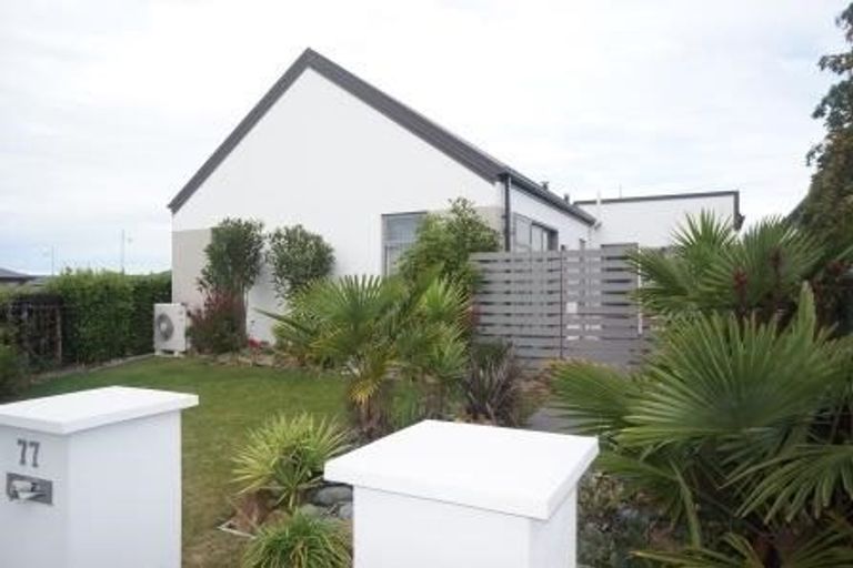 Photo of property in 77 Mary Ellen Street, Pegasus, 7612