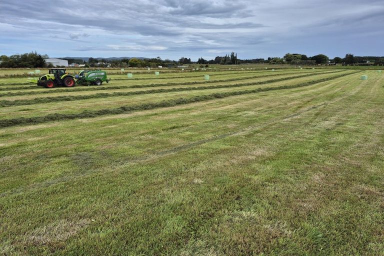 Photo of property in 223 Kaitangata Highway, Stirling, 9231