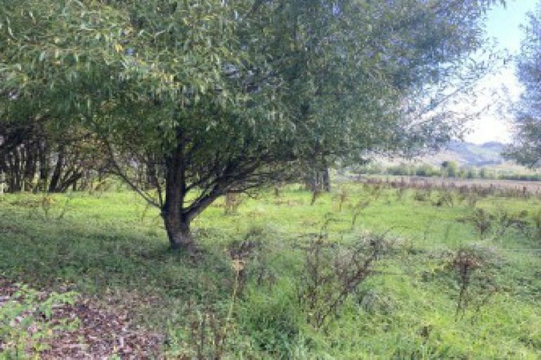 Photo of property in 870 Marokopa Road, Marokopa, Piopio, 3985