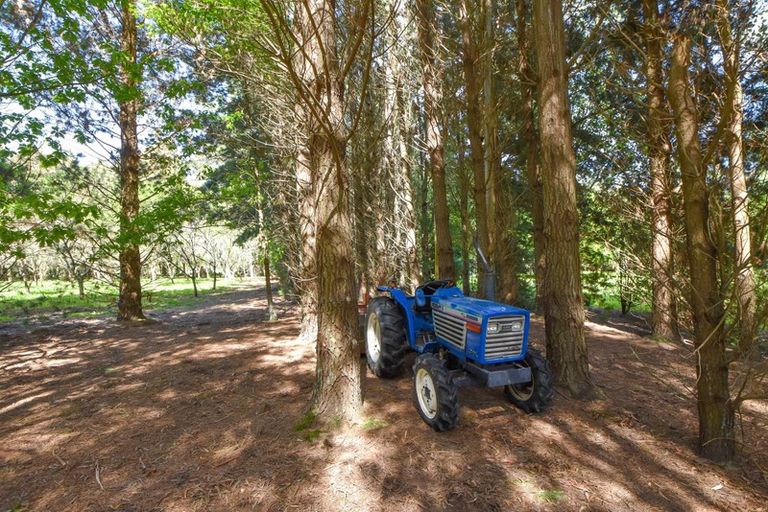 Photo of property in 265 No 1 Line, Tauwharenikau, Featherston, 5771