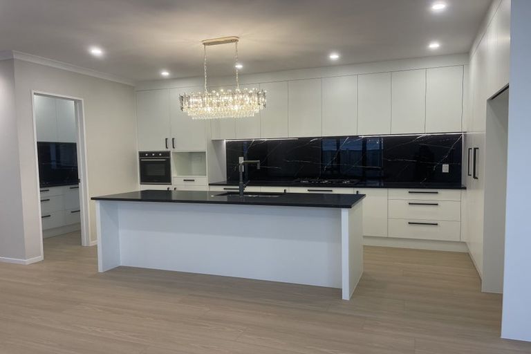 Photo of property in 219a Murphys Road, Flat Bush, Auckland, 2019