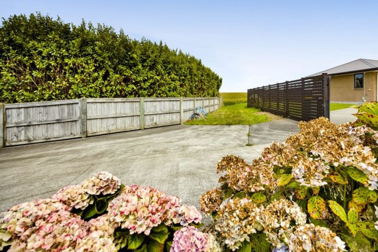 Photo of property in 22c Larlin Drive, Hawera, 4675