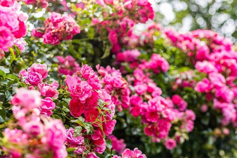 Photo of property in 4/14 Rosehaugh Avenue, Karori, Wellington, 6012